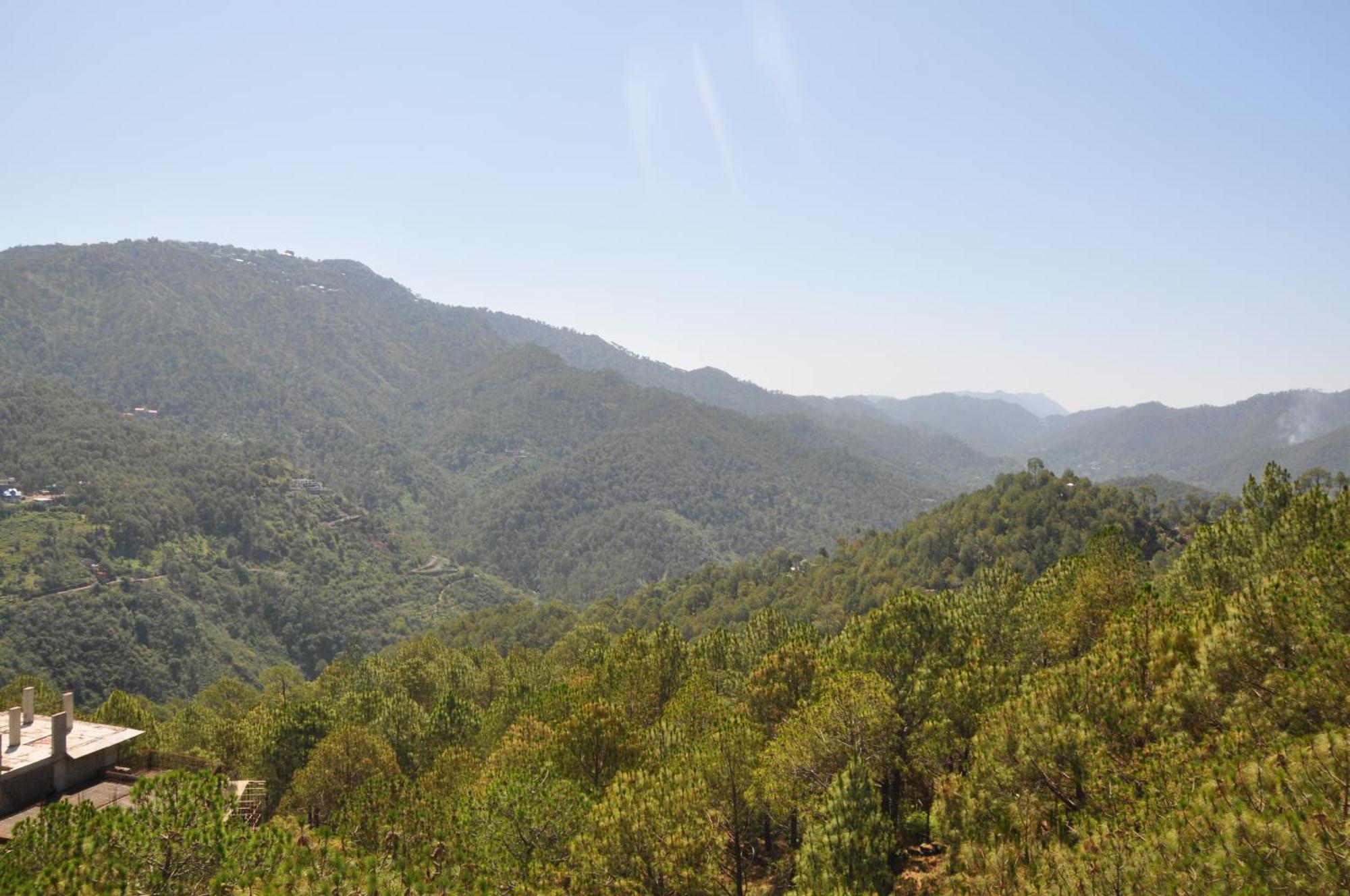 Apartamento Pine Maderas By Embrace Kasauli Exterior foto